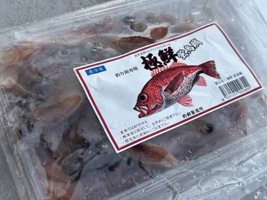 配布されるエサは冷凍ホタルイカ、短冊切りのサバ等は各自持参。 &copy;釣りビジョン