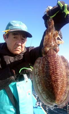 テンヤにしっかり抱き付いた良型