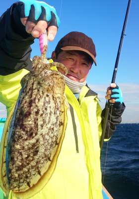 スッテにも良型が乗ってくる！