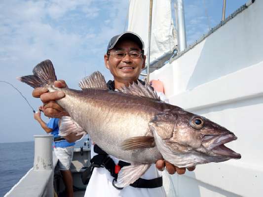 新潟県・佐渡沖で幻の魚“大アラ”7.2kgが浮上！ 画像ギャラリー, 釣りビジョン マガジン