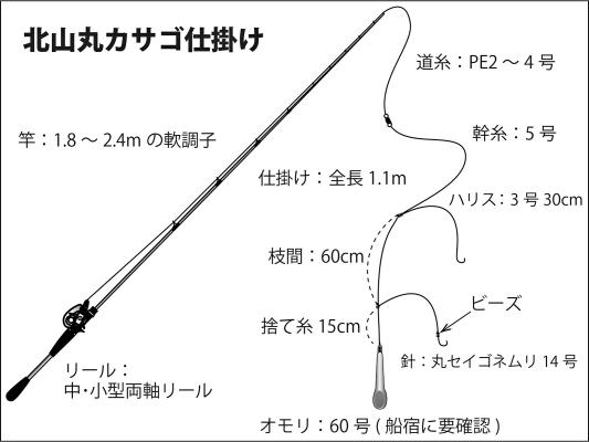 919_tackle919