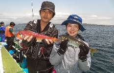 神奈川県・相模湾、釣れる魚の全てが“本命”！ライト五目船！