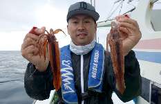 相模湾・小田原沖、初夏の風物詩“ムギイカ”をつかまえて！