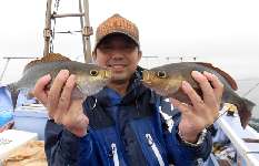 千葉県・大原沖のLTイサキ、数型ともに絶好調！！