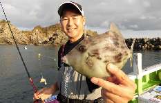 千葉県・勝山沖のカワハギ、今シーズンも期待大！