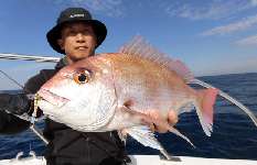 静岡県・御前崎沖、秋の“タイラバ五目”が面白い！！