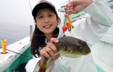 鹿島沖のショウサイフグ好スタート！