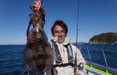ヒット連発！ティップランで狙う千葉県・富浦沖のアオリイカ！！