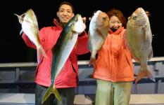 千葉県・大原沖のマダイ、乗っ込み目前！！