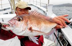 千葉県・南房総、千倉沖の“マダイ五目”、魚種多彩で食味も大満足！