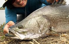 堀の中のアジアンスターフィッシュの名は?【世界怪魚図鑑06】