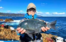 静岡県下田市須崎・赤根島　“寒メジナ”狙い、クチブトでリベンジ！！