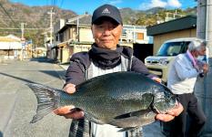 静岡県・西伊豆：安良里 メジナを対象に狙った磯釣り大会だったが…！