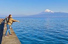 静岡県・伊豆半島　春ど真ん中、大型アオリイカを狙って…100kmランガンの旅！