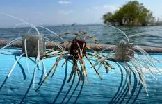 滋賀県・琵琶湖　サイコロラバーをマスターするための突破口はどこだ？