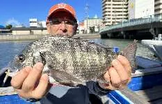 ダンゴ釣り初挑戦！「クロダイかかり釣り体験コース」やってみた！静岡県清水港『ふじや釣舟店』
