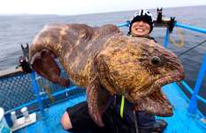 北海に出現したキモカワ【ゴジラフィッシュ】…その正体は●●●●ウオ!