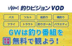 【有料コンテンツが無料に！】登録の必要なし！GW期間限定「釣りビジョンVOD」の人気コンテンツが無料開放中！