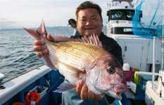 これからがのっこみ本番か？数も型にも注目「富浦沖のコマセマダイ」千葉県富浦港『共栄丸』