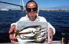 【東京湾LTアジ】釣って楽しい！食べて美味しい！初めての人も50匹も！！東京都羽田『かめだや』
