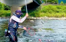 【名川・長良川】季節移り行く奥長良で金ピカ秋鮎を狙う!