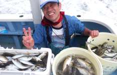 【釣果大満足！】東京湾のLTアジ絶好調！木更津沖で良型2束超え！！東京都平和島『船宿 まる八』