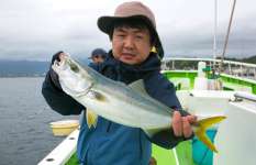 ビッグファイトをお手軽に楽しむ！ビギナーも大満足の【ライトイナダ五目】神奈川県平塚港『庄治郎丸』