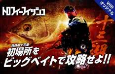 【ビッグベイトシーバス】衣川真吾、東北のメジャーフィールド攻略なるか！？