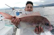 駿河湾・沼津沖、乗っ込みマダイは開幕目前！