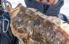 狙える魚種は無限大！和歌山沖のひとつテンヤ五目に注目！大阪府北中通漁港『上丸』