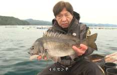 【女性釣り師がハマる】かかり釣りのチヌ攻略について