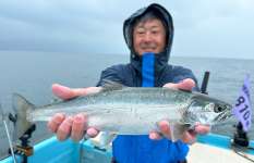 ＜検証＞ビワマスが減ったというのは果たして本当か？【琵琶湖】