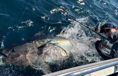 クロマグロ出たっ！およそ100分に及ぶ激闘をとくとご覧あれ