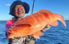 【奇跡】超高級魚・スジアラをオカッパリで釣りあげる