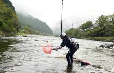 【シーズン終盤の鮎】岐阜河川でデカ鮎＆マッキキー鮎のハシゴ釣行！ ～根尾川・長良川～