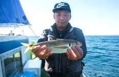 大型マアジと端物(ハモノ)狙い!葉山のアジ五目で2つの釣りを満喫!神奈川県葉山あぶずり港『愛正丸』