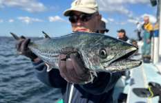 早巻き限界突破! ブレードジグのサワラが面白い!千葉県長浦港『こなや丸』