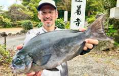 【中型オナガ連発】東伊豆の地磯で1日通して〝楽しい引き〟を堪能