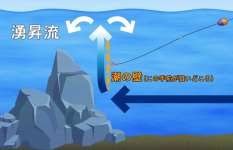 【グレ釣り道場】長崎県宮ノ浦に猪熊博之が挑む