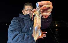 冬場に好調！？いま、沼津マルイカが熱いぞ！