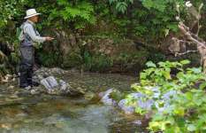 【渓流釣り】フライの魔術師が織りなす岩魚曼荼羅