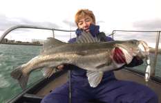 【徳島ビッグベイトシーバス】厳しい状況で出た、価値ある1本