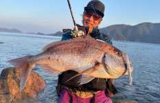 「オカッパリからマダイ！？」「本当に釣れるの？」ベイトタックルの強みを活かしたショアレッドゲーム