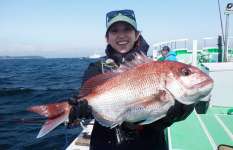 【乗っ込み間近】東京湾口のコマセマダイ好調！ 神奈川県松輪江奈港『あまさけや丸』