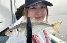 竿頭105匹！！ 東京湾LTアジは夏休みレジャーに最適！東京都 平和島『船宿 まる八』