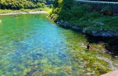 青の神秘・仁淀川で見た最後の夏！青の流れに輝く鮎との出会い