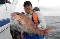 茨城県・日立沖の一つテンヤ・マダイ、良型交じりで激熱！