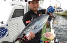 神奈川県・相模湾はキハダ、本ガツオで大盛況！