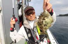 千葉・内房、勝山沖のカワハギ、秋を迎え絶好調！