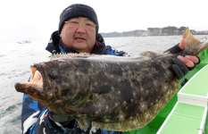 千葉県・大原沖の“寒ビラメ”、肉厚良型が絶好釣！！
